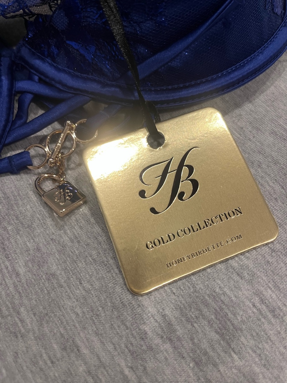 Honey Birdette JULES Blue Clutch Gold Hardware 30H/30G NWT